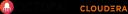 OCTOPAI (Acquired by Cloudera)