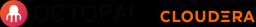 OCTOPAI (Acquired by Cloudera)