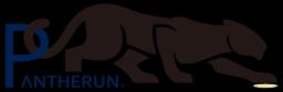 Pantherun Technologies