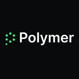 Polymer Runtime Data Security